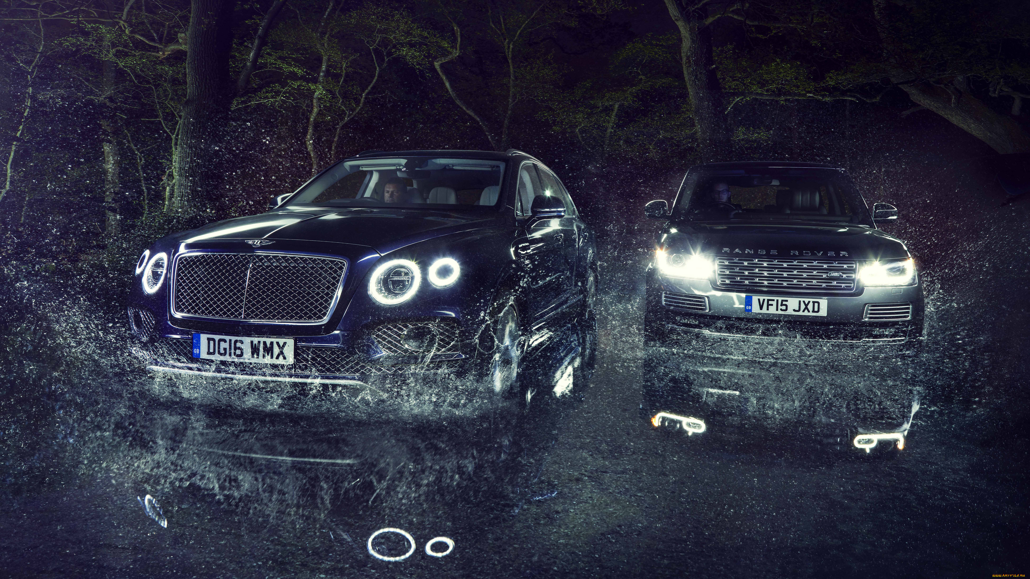 ,  , cars